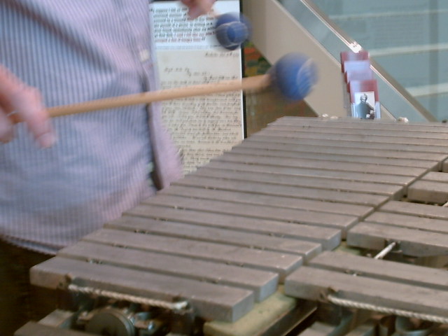 Andrew of Summerglen Music performs on the vibraphone